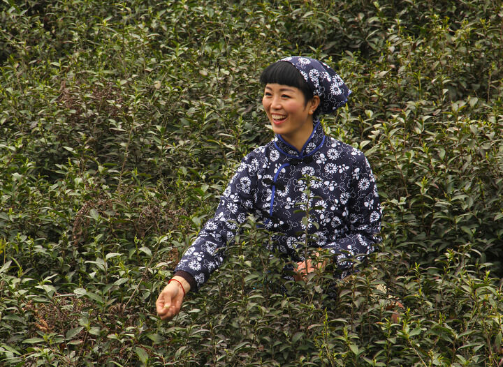 真人露脸 漫改短剧